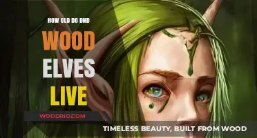 Wood Elves' Lifespan in D&D: Unveiling Their Age and Longevity
