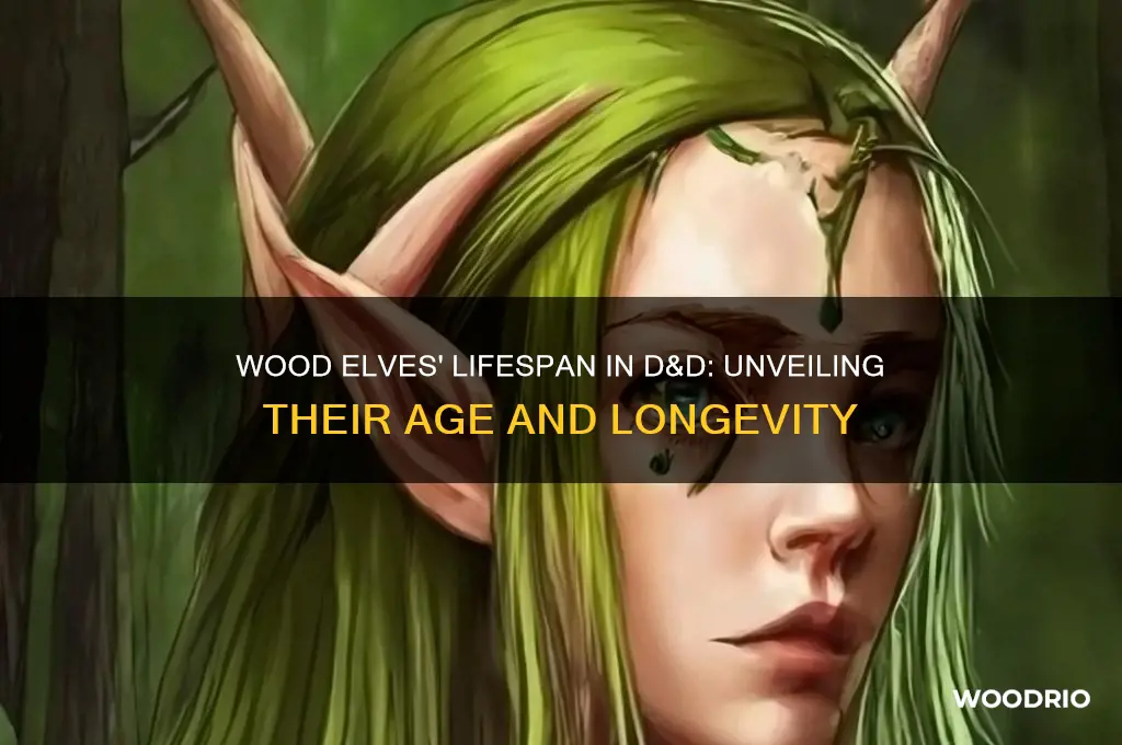 how old do dnd wood elves live