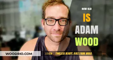 Unveiling Adam Wood's Age: A Comprehensive Look at His Life
