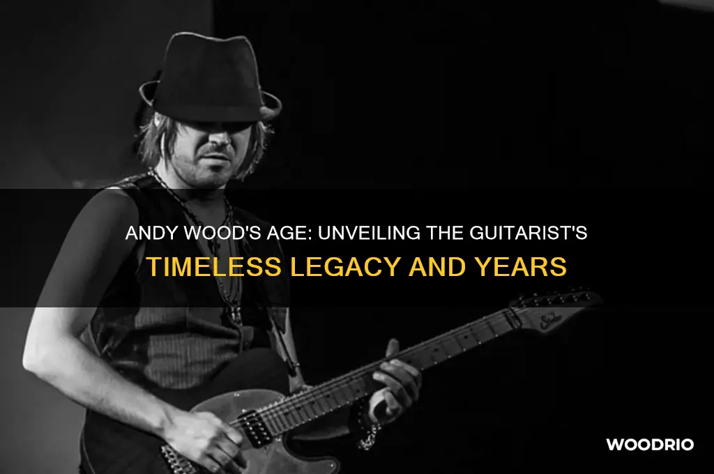 how old is andy wood guitarist