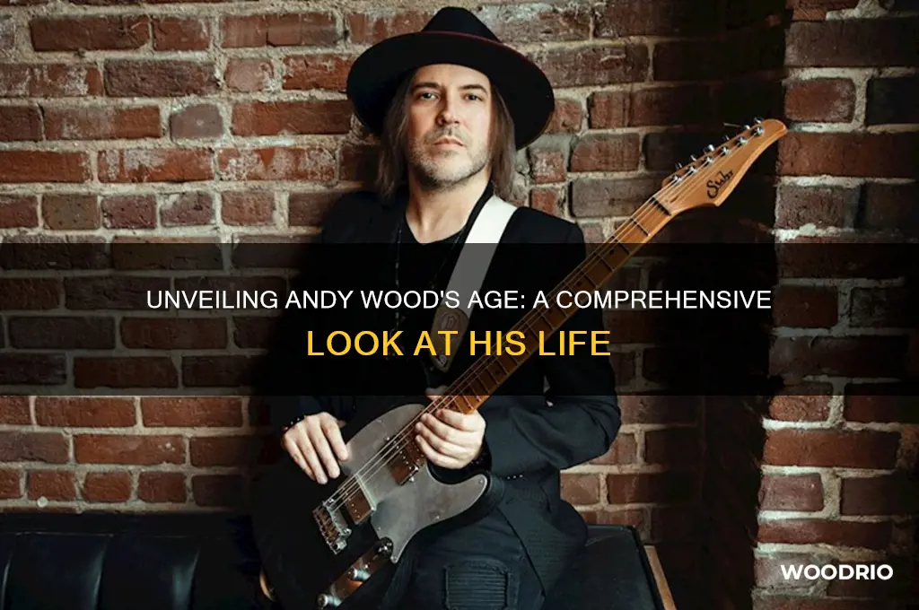 how old is andy wood