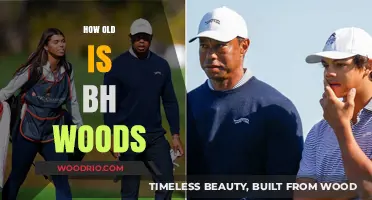 Unveiling the Mystery: BH Woods' Age and Legacy Explored