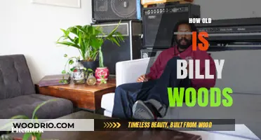 Unveiling Billy Woods' Age: A Deep Dive into His Life