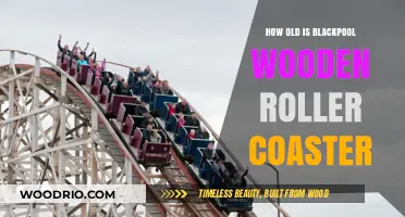 Discovering the Age of Blackpool's Historic Wooden Roller Coaster