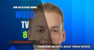 Blake Harms' Age: Unveiling the Mystery Behind Wood TV 8's Anchor