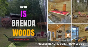 Discovering Brenda Woods' Age: A Comprehensive Look at Her Life