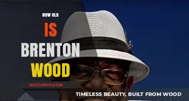 Discovering Brenton Wood's Age: A Journey Through His Timeless Music