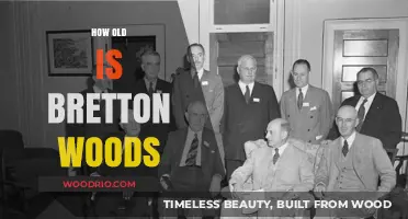 Bretton Woods: Unveiling the Age and Legacy of a Historic Agreement