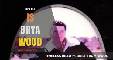 Unveiling Brya Wood's Age: A Comprehensive Exploration of Her Timeline
