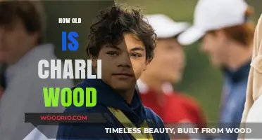 Unveiling Charli Wood's Age: A Comprehensive Look at Her Life