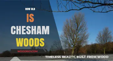 Exploring Chesham Woods: Unveiling the Age of This Historic Woodland
