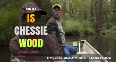 Unveiling Chessie Wood's Age: A Historical Amusement Park Mystery