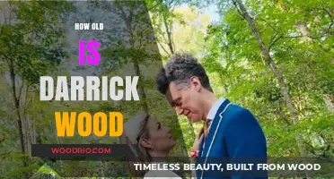 Unveiling Darrick Wood's Age: A Comprehensive Look at His Life