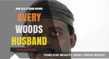 David Woods' Age: Unveiling the Mystery of Avery Woods' Husband