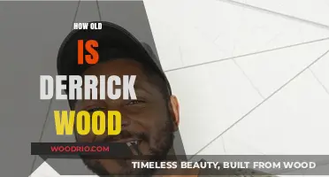 Derrick Wood's Age: Unveiling the Mystery Behind His Birth Year