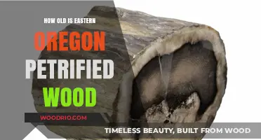 Unveiling the Ancient Age of Eastern Oregon's Petrified Wood