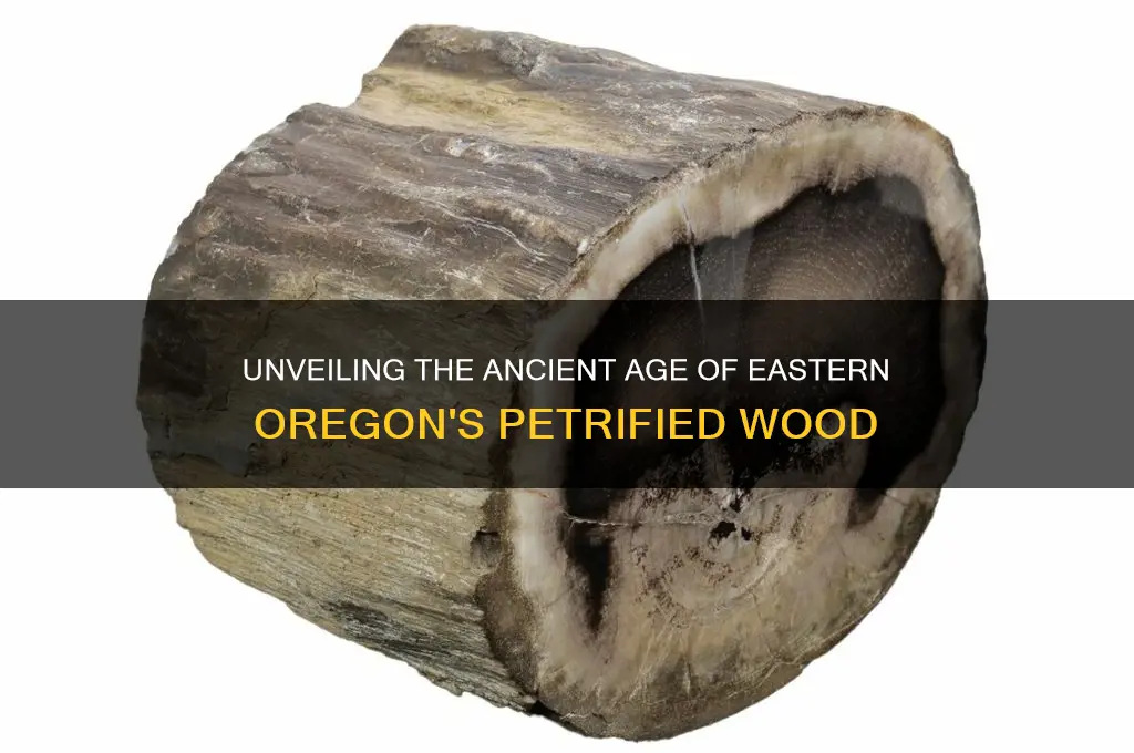how old is eastern oregon petrified wood