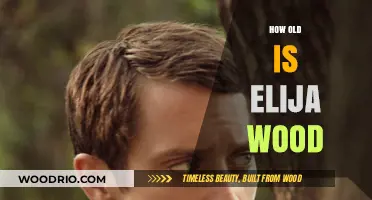 Elijah Wood's Age: Unveiling the Actor's Surprising Birth Year