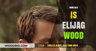 Elijah Wood's Age: Unveiling the Actor's Surprising Birth Year