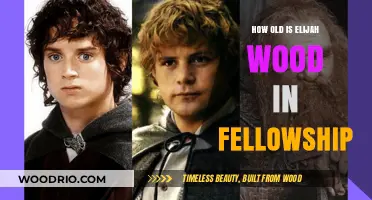 Elijah Wood's Age in The Fellowship of the Ring Revealed