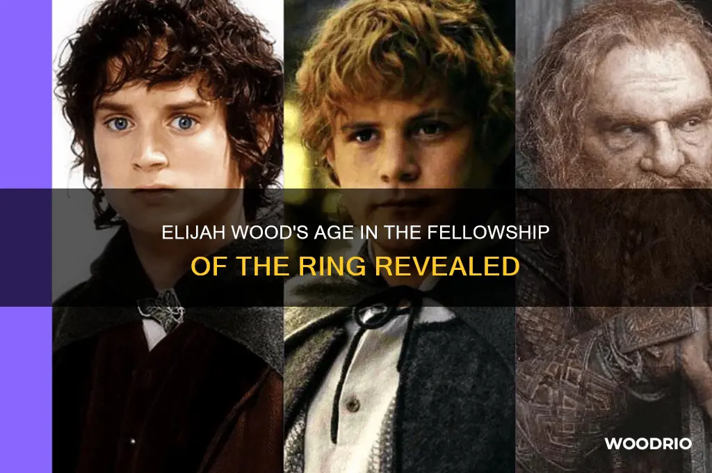 how old is elijah wood in fellowship