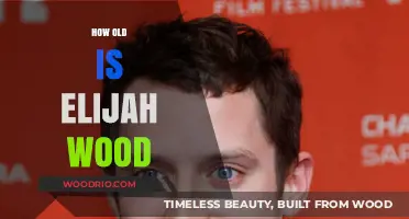 Elijah Wood's Age: Unveiling the Actor's Surprising Birth Year