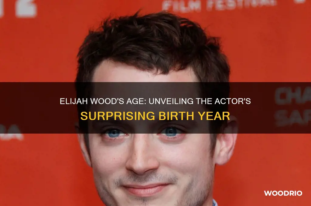 how old is elijah wood