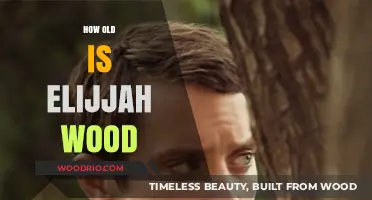 Elijah Wood's Age: Unveiling the Actor's Surprising Birth Year