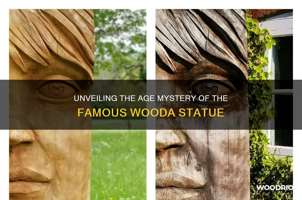 how old is famous wooda