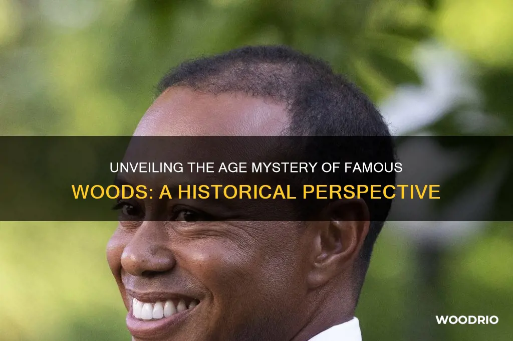 how old is famous woods