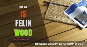 Felix Wood's Age: Unveiling the Mystery Behind His Birth Year