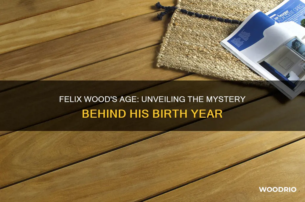 how old is felix wood