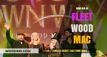 Fleetwood Mac's Timeless Journey: Unveiling the Band's Age and Legacy