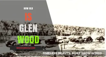 Glen Wood's Age: Unveiling the Racing Legend's Timeless Legacy