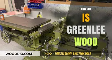 Unveiling Greenlee Wood's Age: A Surprising Discovery Awaits