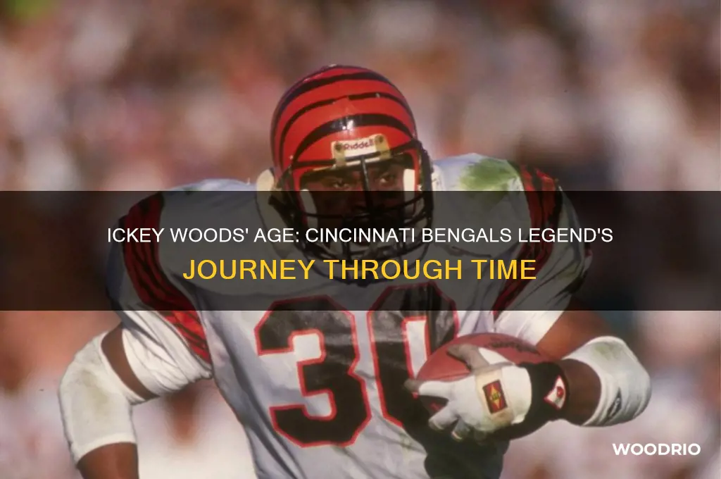 how old is ickey woods cincinnati bengals