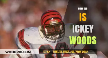 Unveiling Ickey Woods' Age: A Journey Through His Football Legacy
