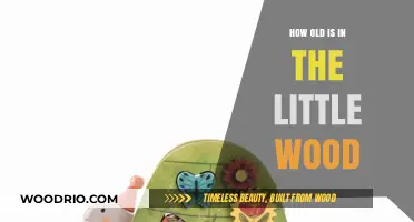 Unveiling the Age Mystery of 'In the Little Wood' Character