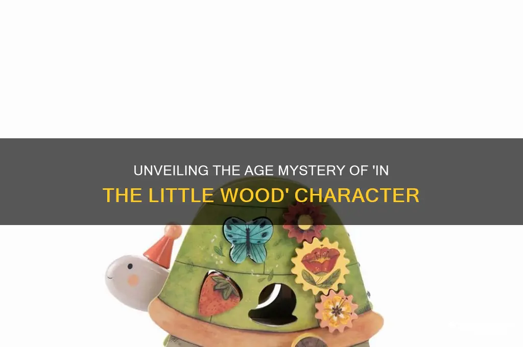 how old is in the little wood