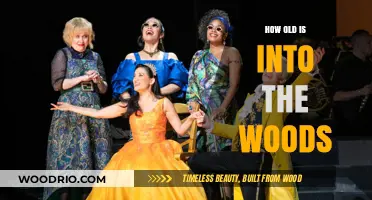 Into the Woods Age: Unveiling the Musical's Timeless Journey