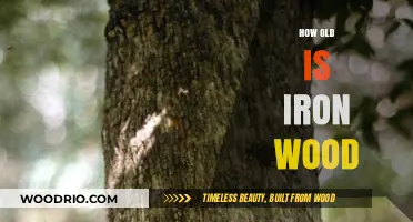 Unveiling the Age of Iron Wood: A Comprehensive Guide