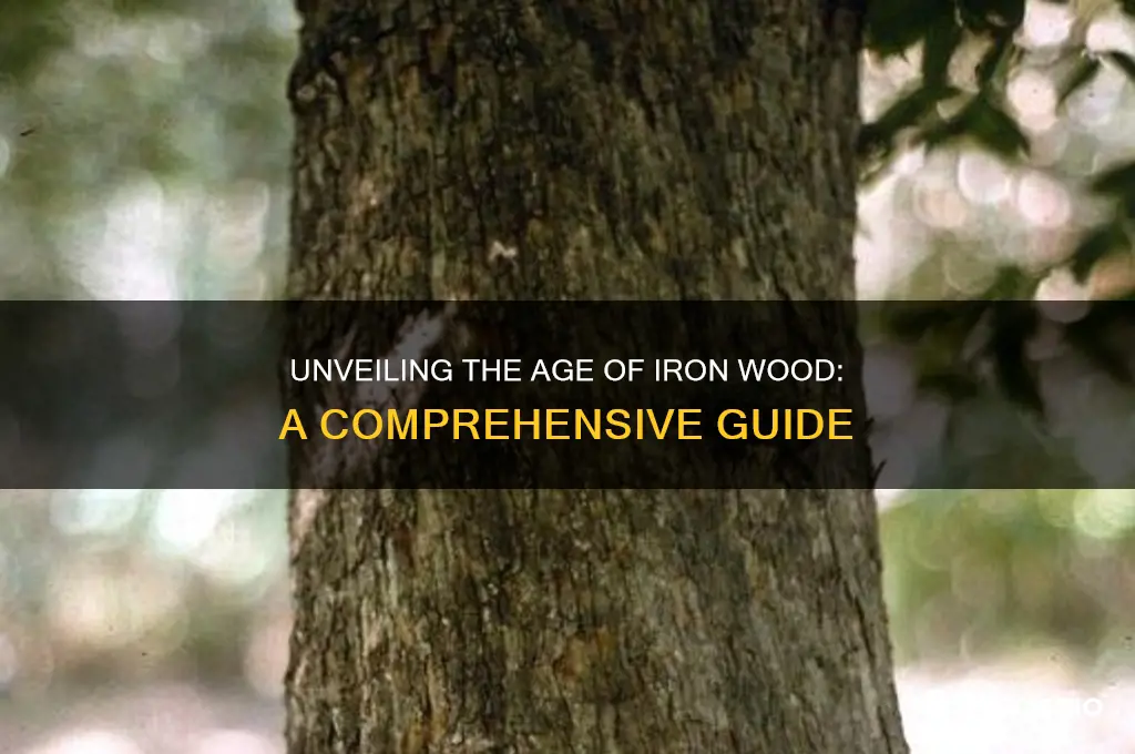 how old is iron wood