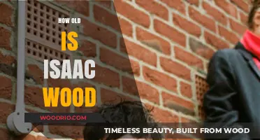 Unveiling Isaac Wood's Age: A Comprehensive Look at His Life