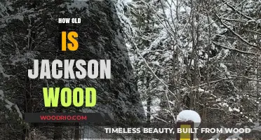 Jackson Wood's Age: Unveiling the Mystery Behind His Birth Year