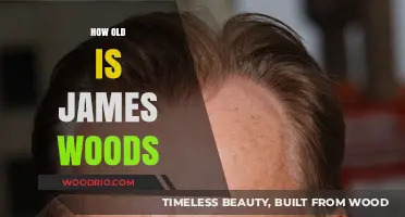 James Woods' Age: Unveiling the Hollywood Veteran's Timeless Journey