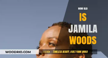 Jamila Woods' Age: Unveiling the Talented Artist's Life Journey