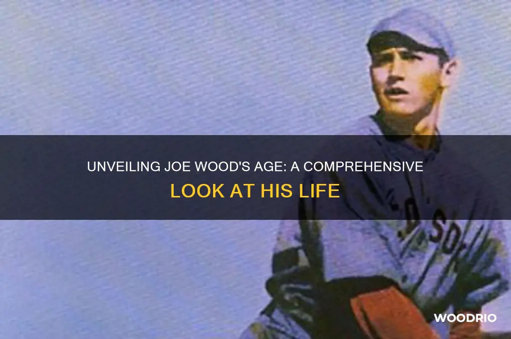 how old is joe wood