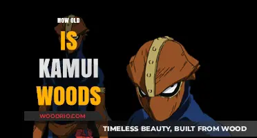 Kamui Woods' Age: Unveiling the Mystery Behind the Hero's Years