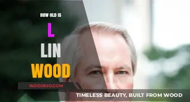 L. Lin Wood's Age: Unveiling the Mystery Behind His Years