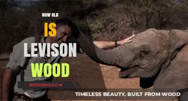 Levison Wood's Age: Unveiling the Explorer's Journey and Timeline